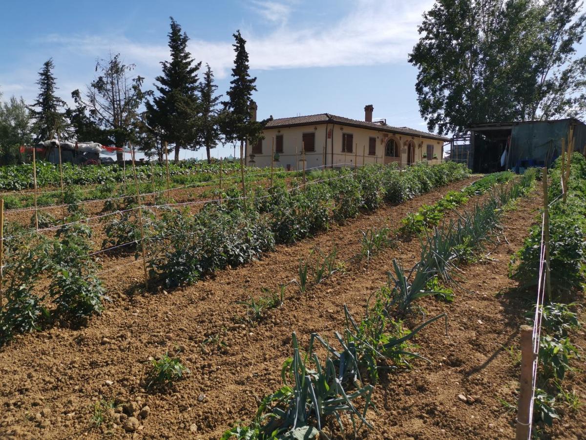 Masseria Le Querciole Fauglia Exterior foto
